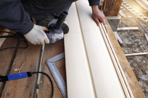 Best Vinyl Siding Installation  in Clermont, GA