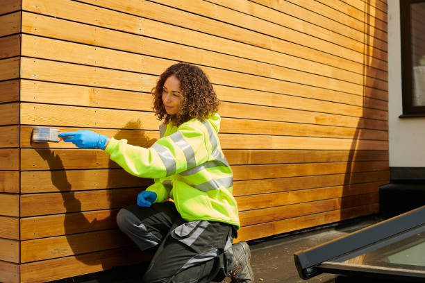 Best Stone Veneer Siding  in Clermont, GA